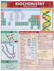 Biochemistry Chart