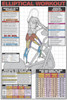 Elliptical Workout Exercise Poster