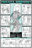 Triceps Exercise Poster
