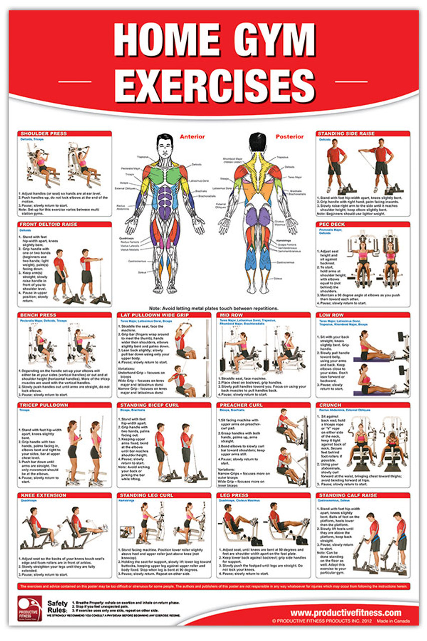 total gym exercises