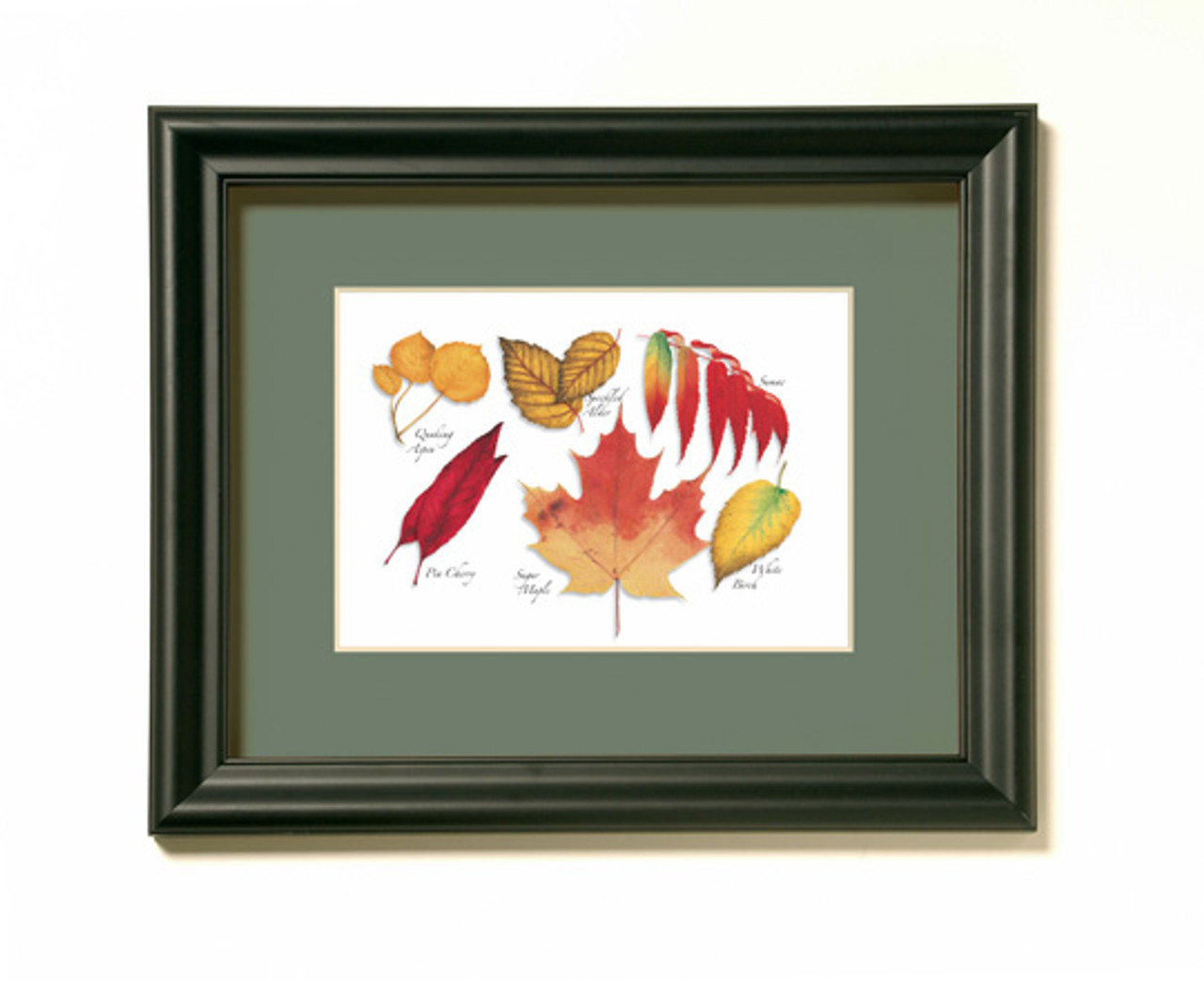 Fall Leaves Print