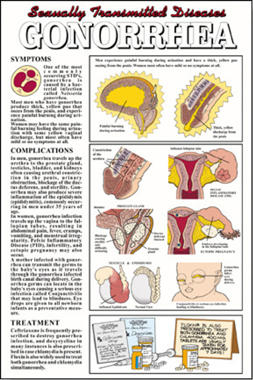 Clinical Dental Chart