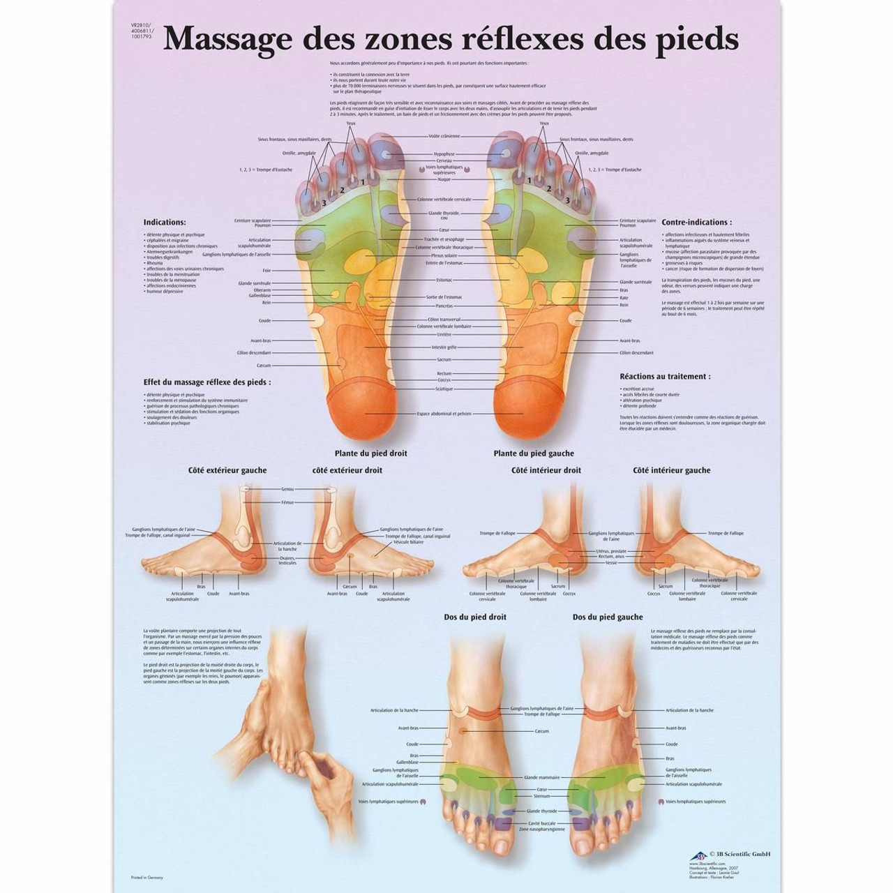 Massage Des Zones Réflexes Poster