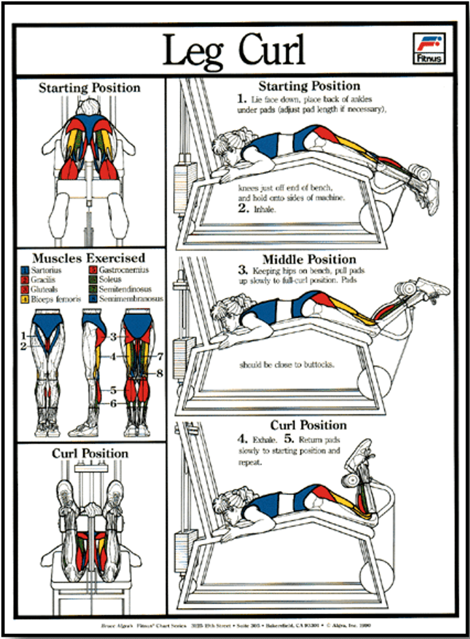 24 15 Minute Leg workout poster for Six Pack