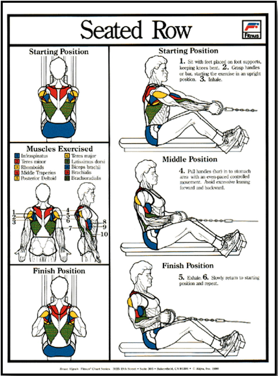 Seated Row Exercise Machine Poster