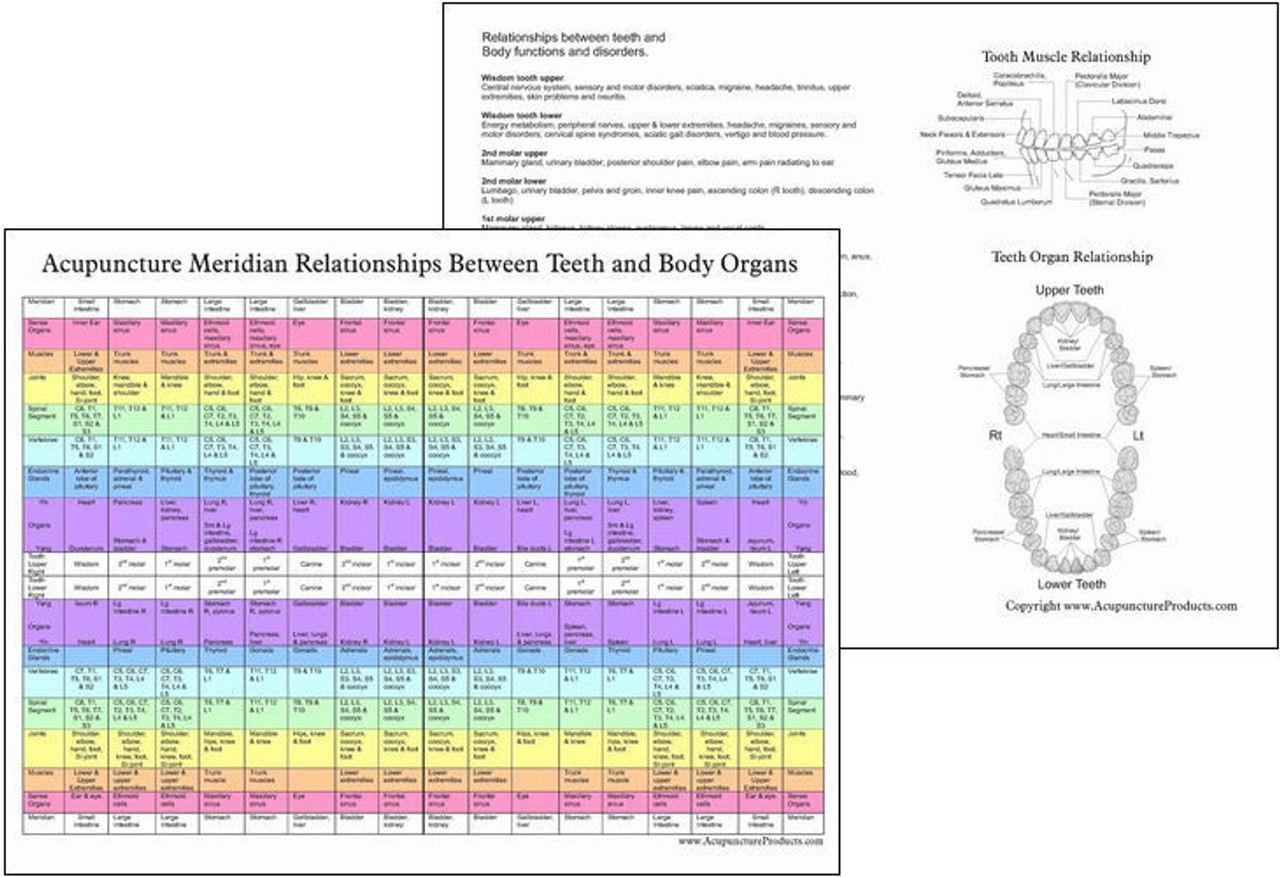 Acupuncture Tooth Chart