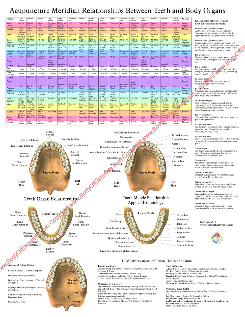 Teeth Poster 18 x 24