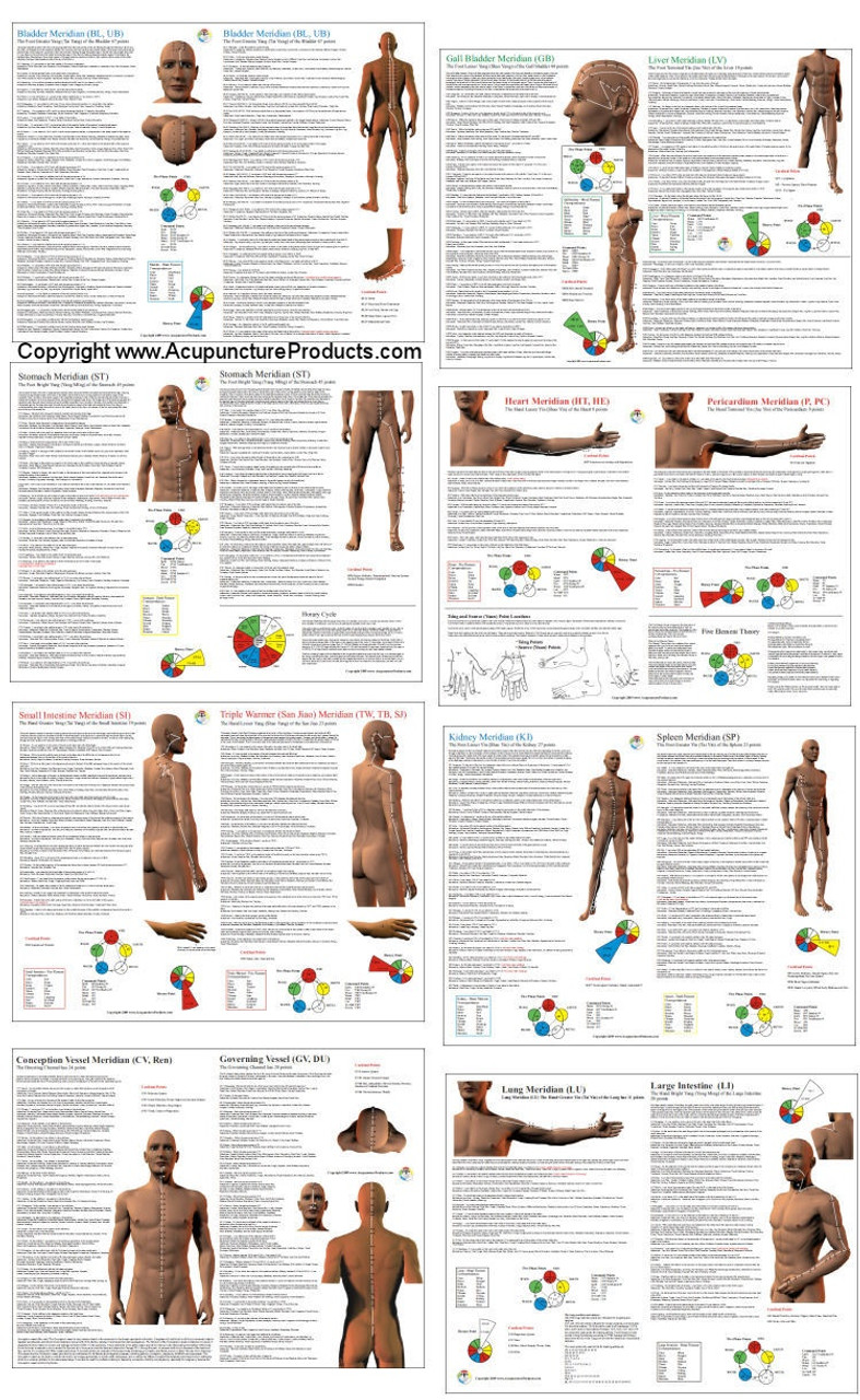 Acupuncture Wall Charts