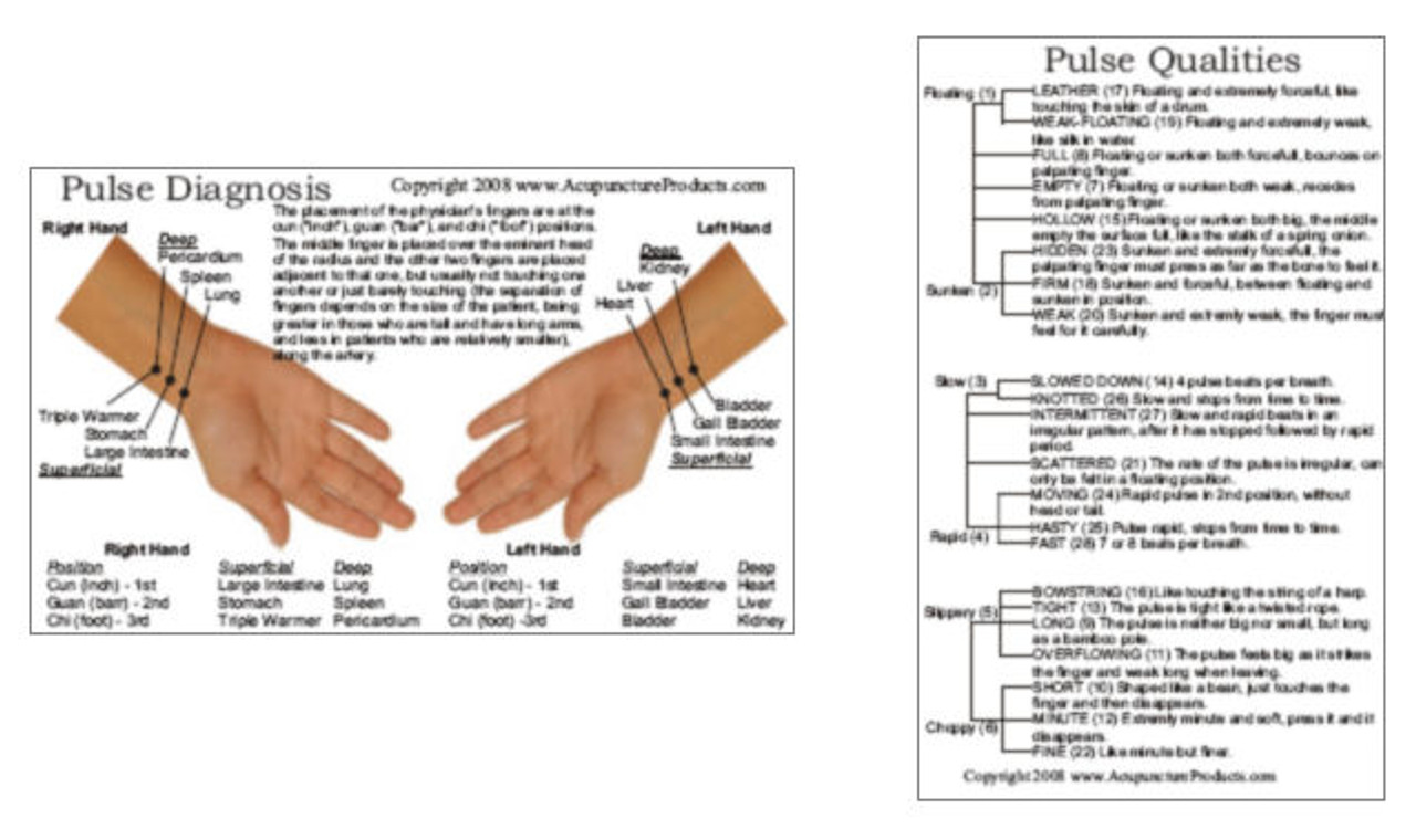 Chinese Pulse Diagnosis Chart