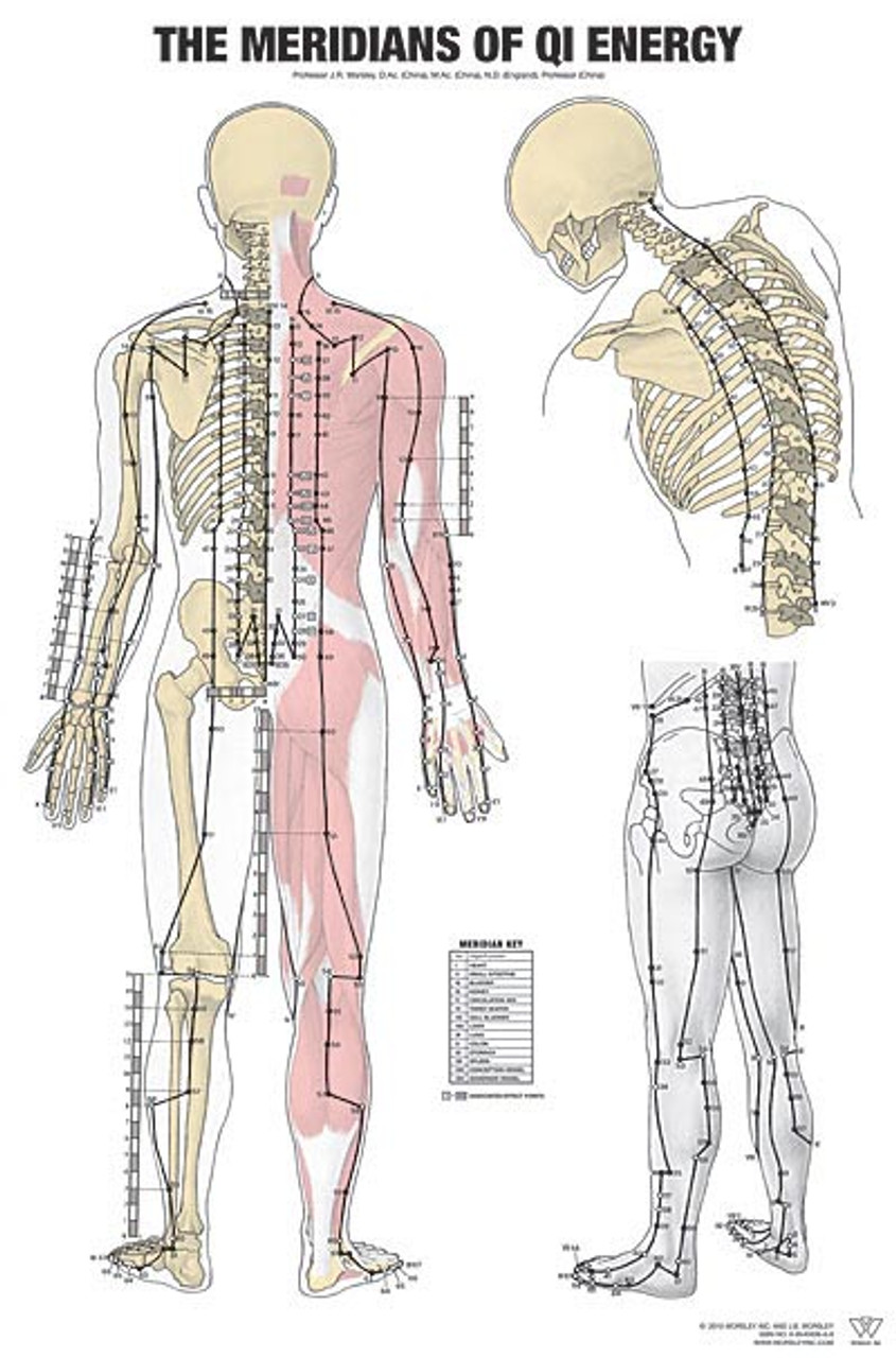Meridians of Chi Energy Charts-Worsley