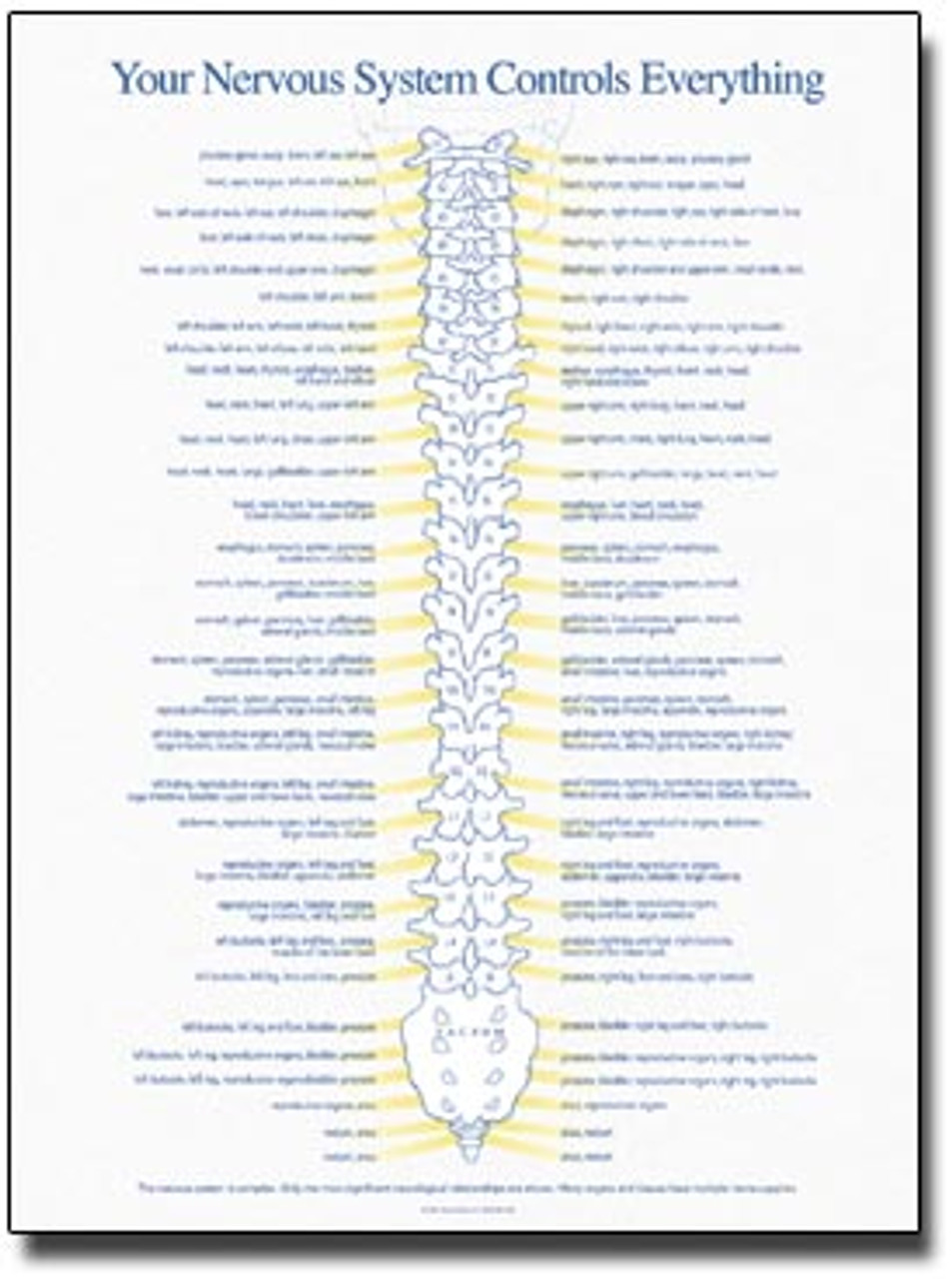 Chiropractic Nervous System Chart