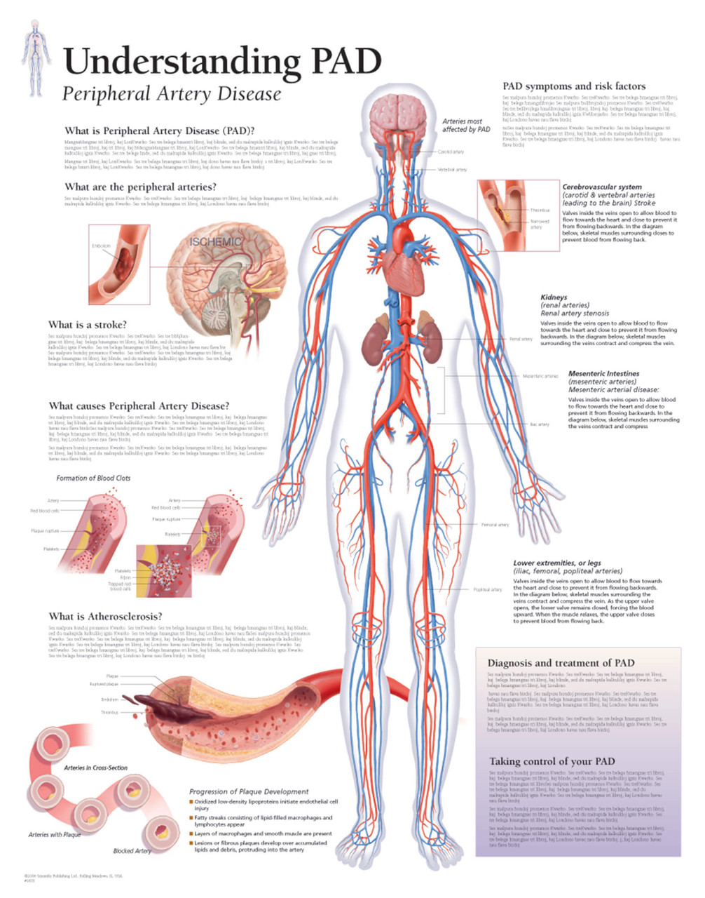 human artery chart