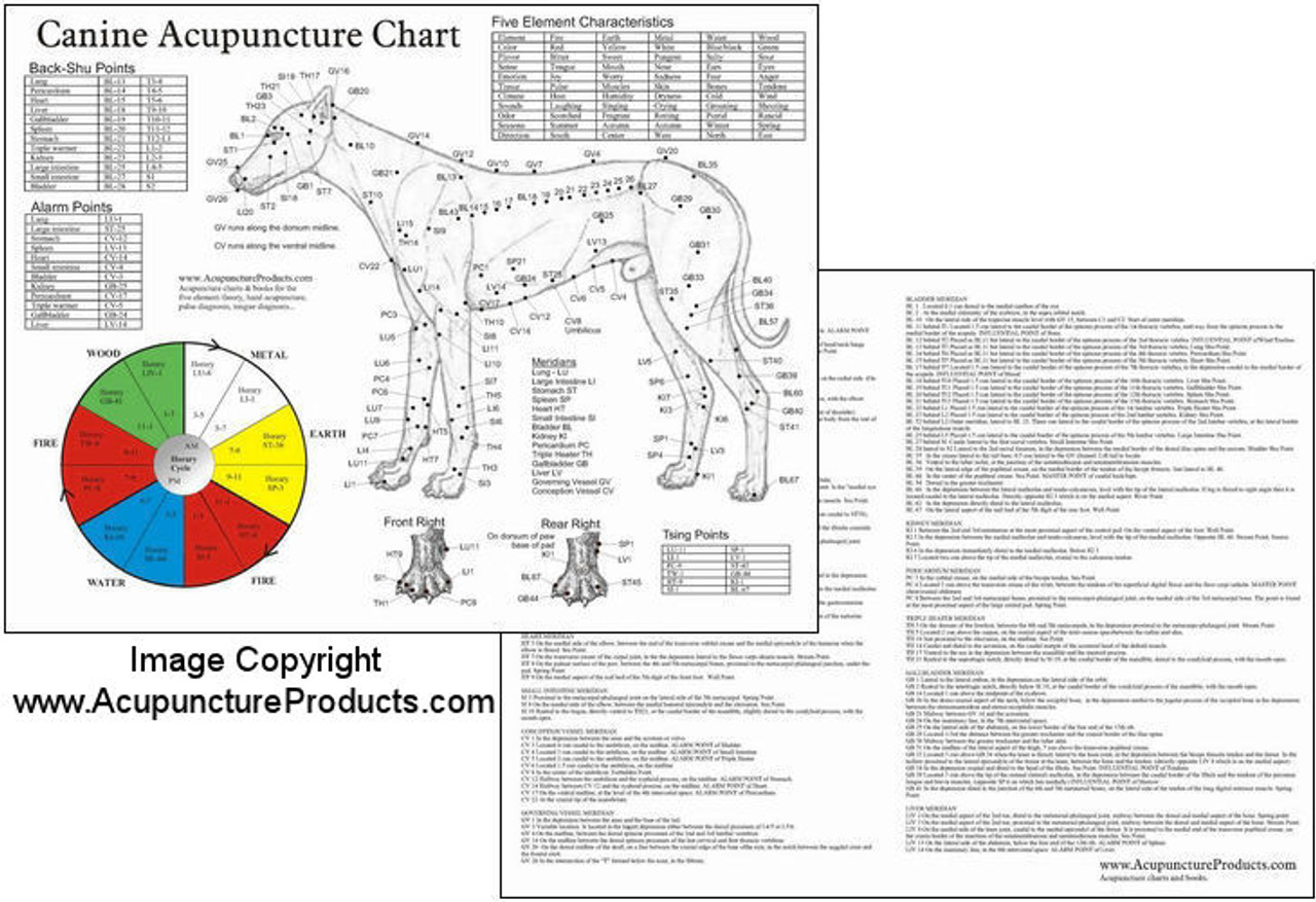 Dog Reflexology Chart