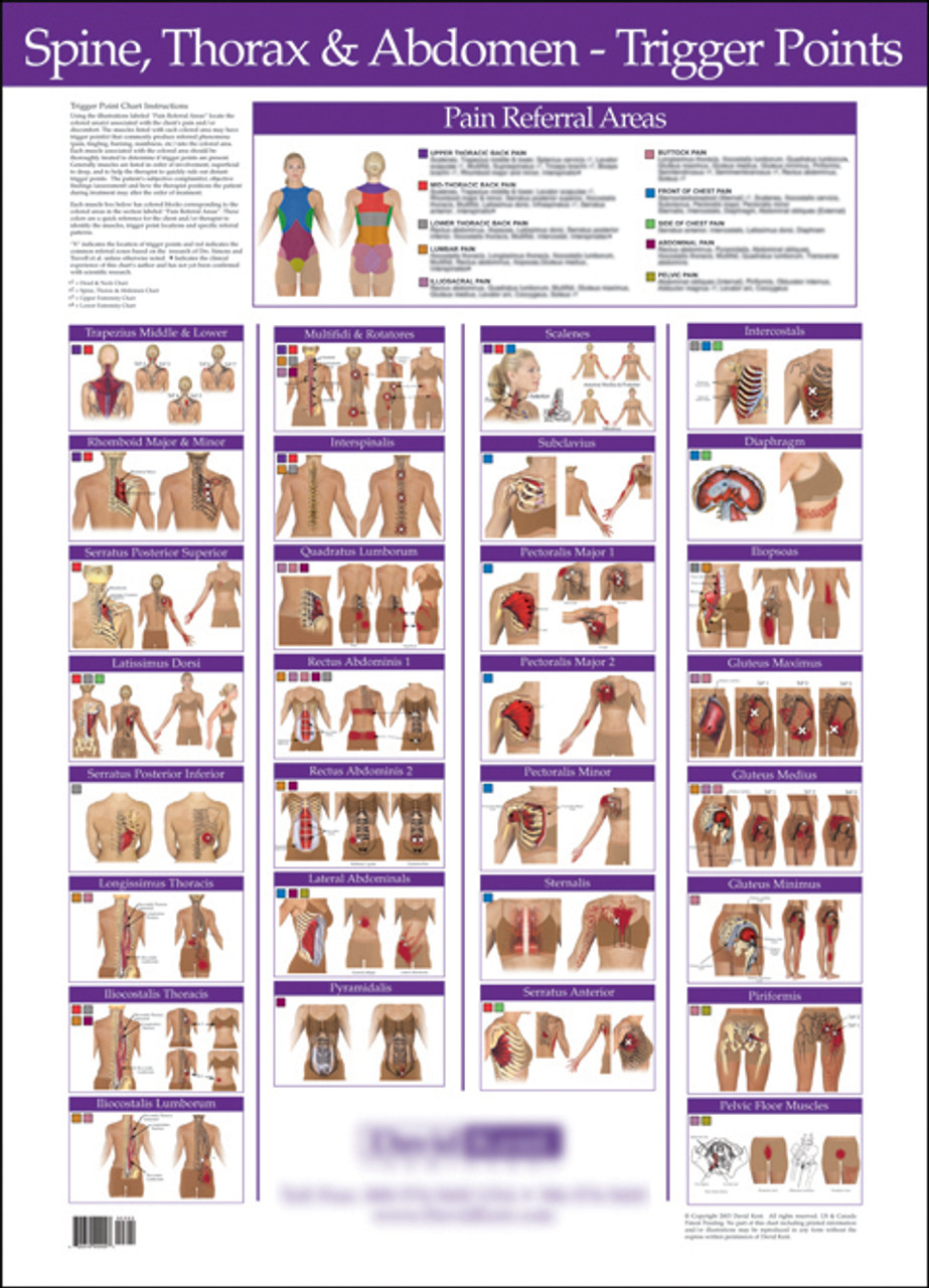 Abdominal Acupuncture Points Wall Chart