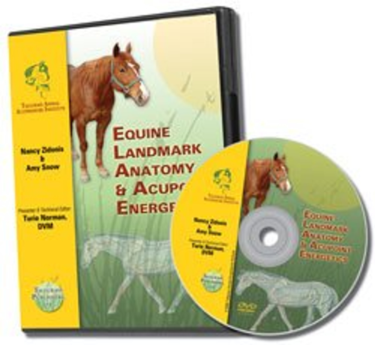 Equine Acupoint Energetics & Landmark Anatomy - DVD
