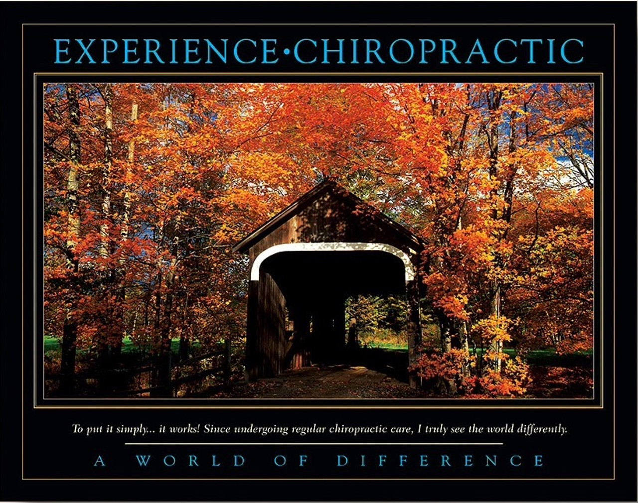 Chiropractic Posters And Charts