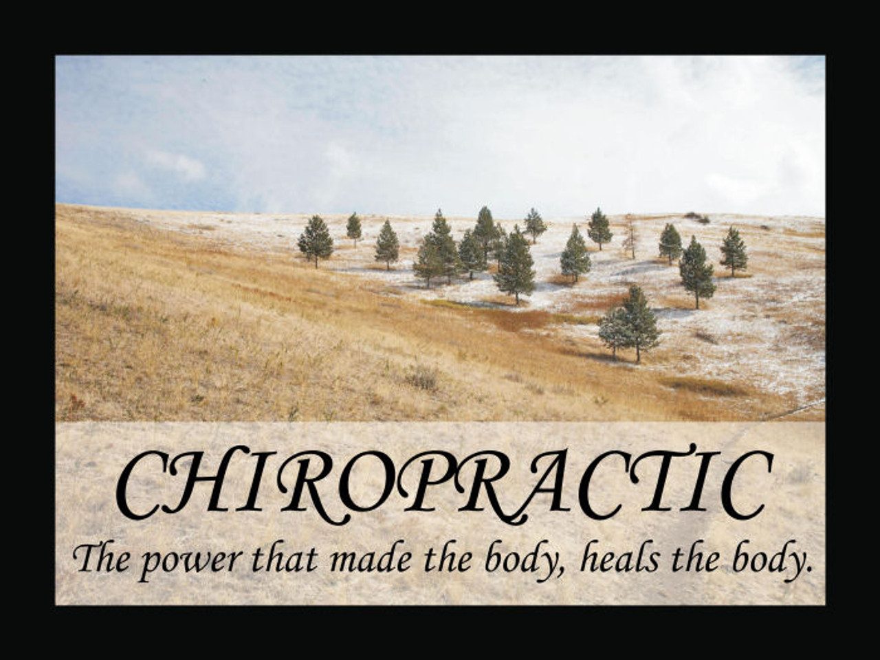 Chiropractic Heals Poster