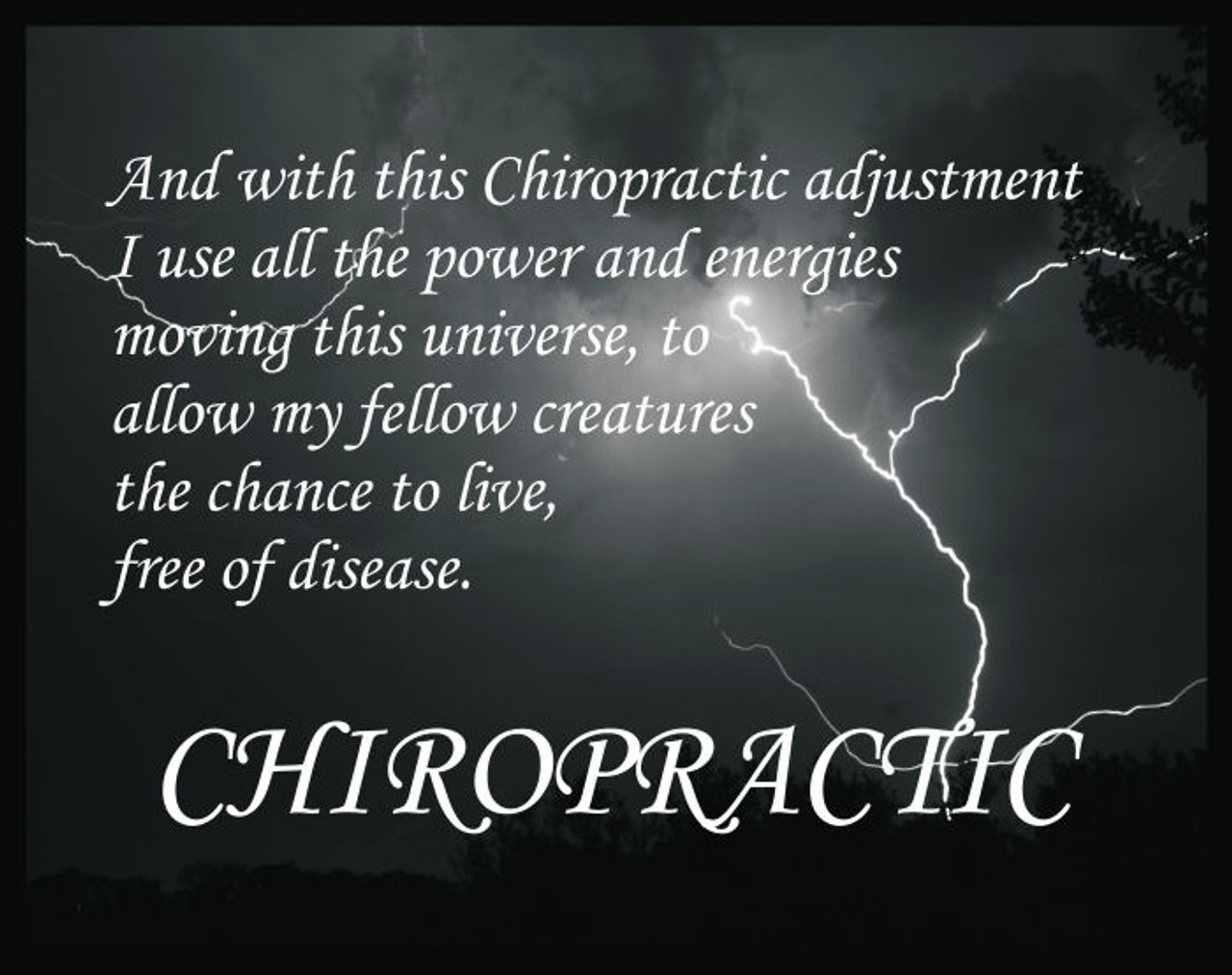 Chiropractic Epigram poster