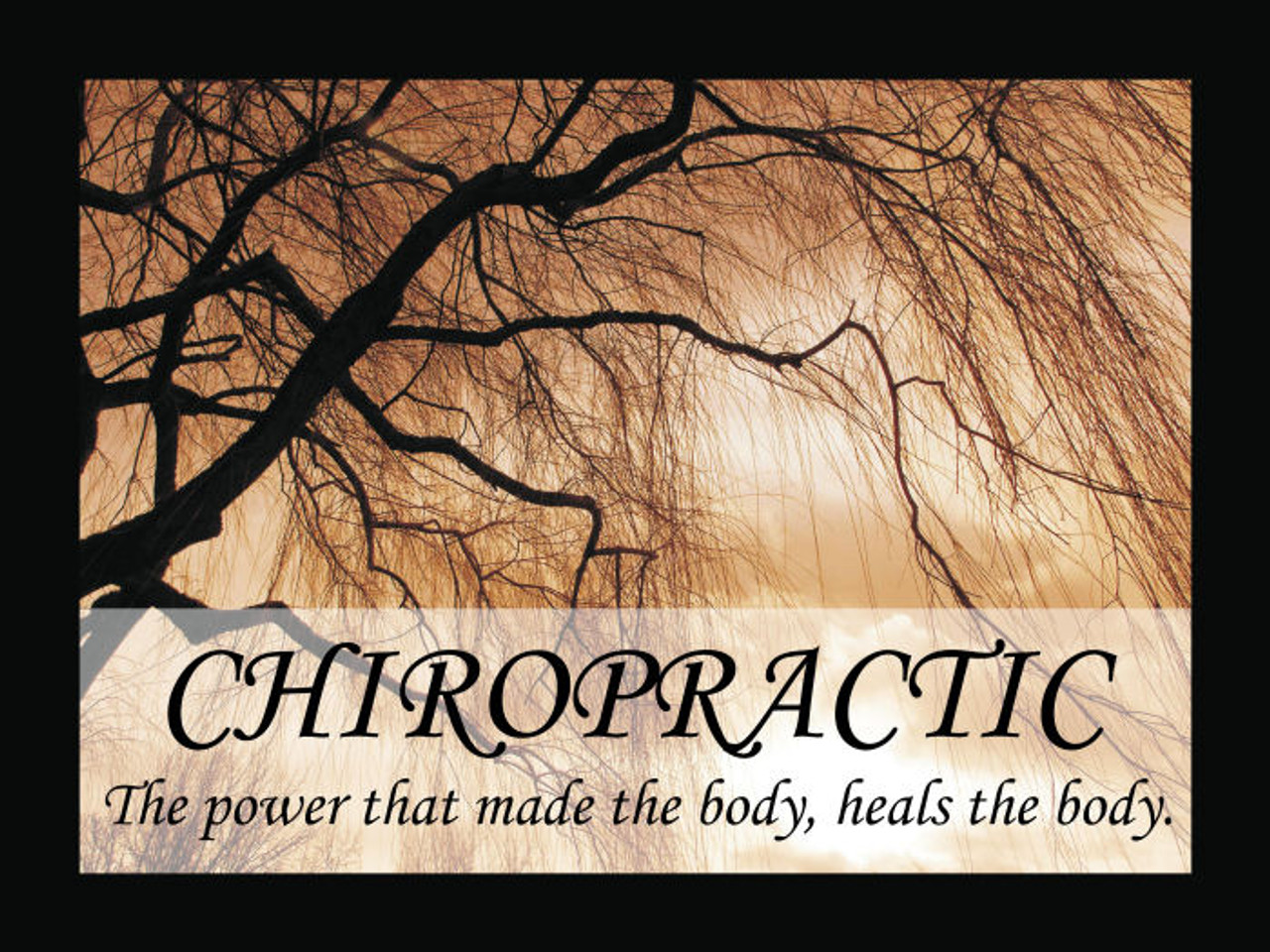 Chiropractic Quote Poster