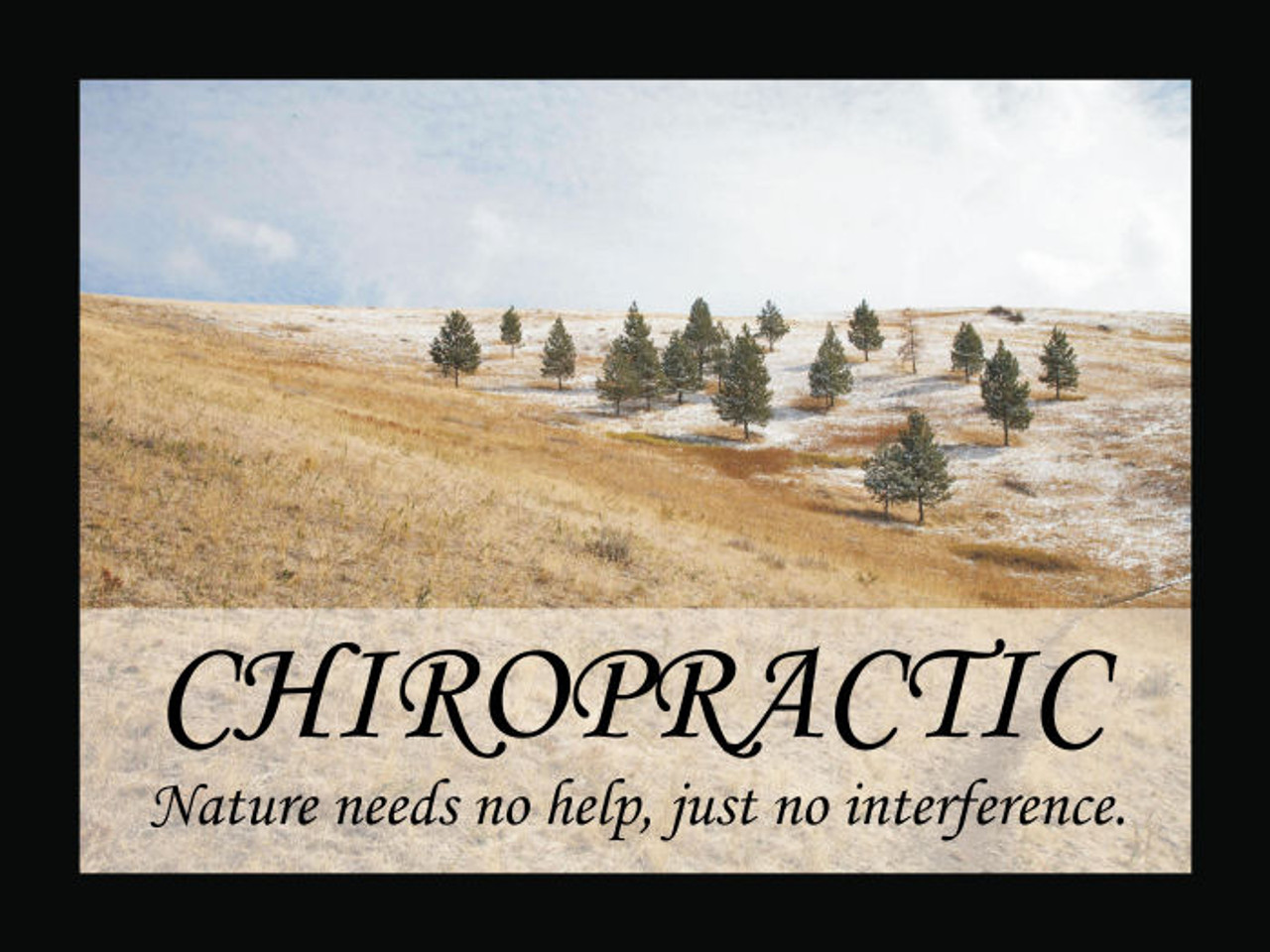 Interference Chiropractic Poster