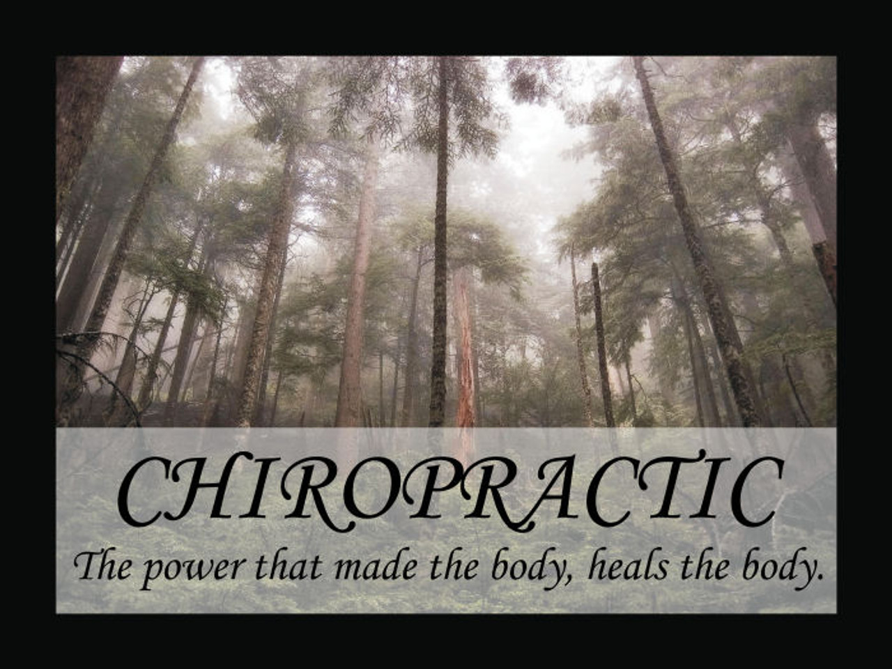 Chiropractic Heals Naturally