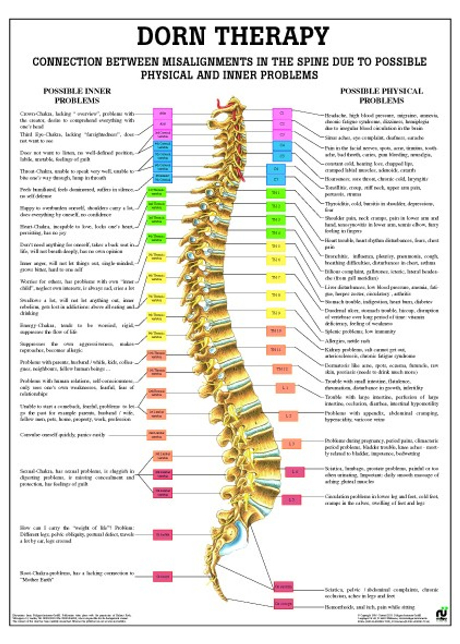 Spinal Misalignment DORN Therapy Poster Clinical Charts and Supplies