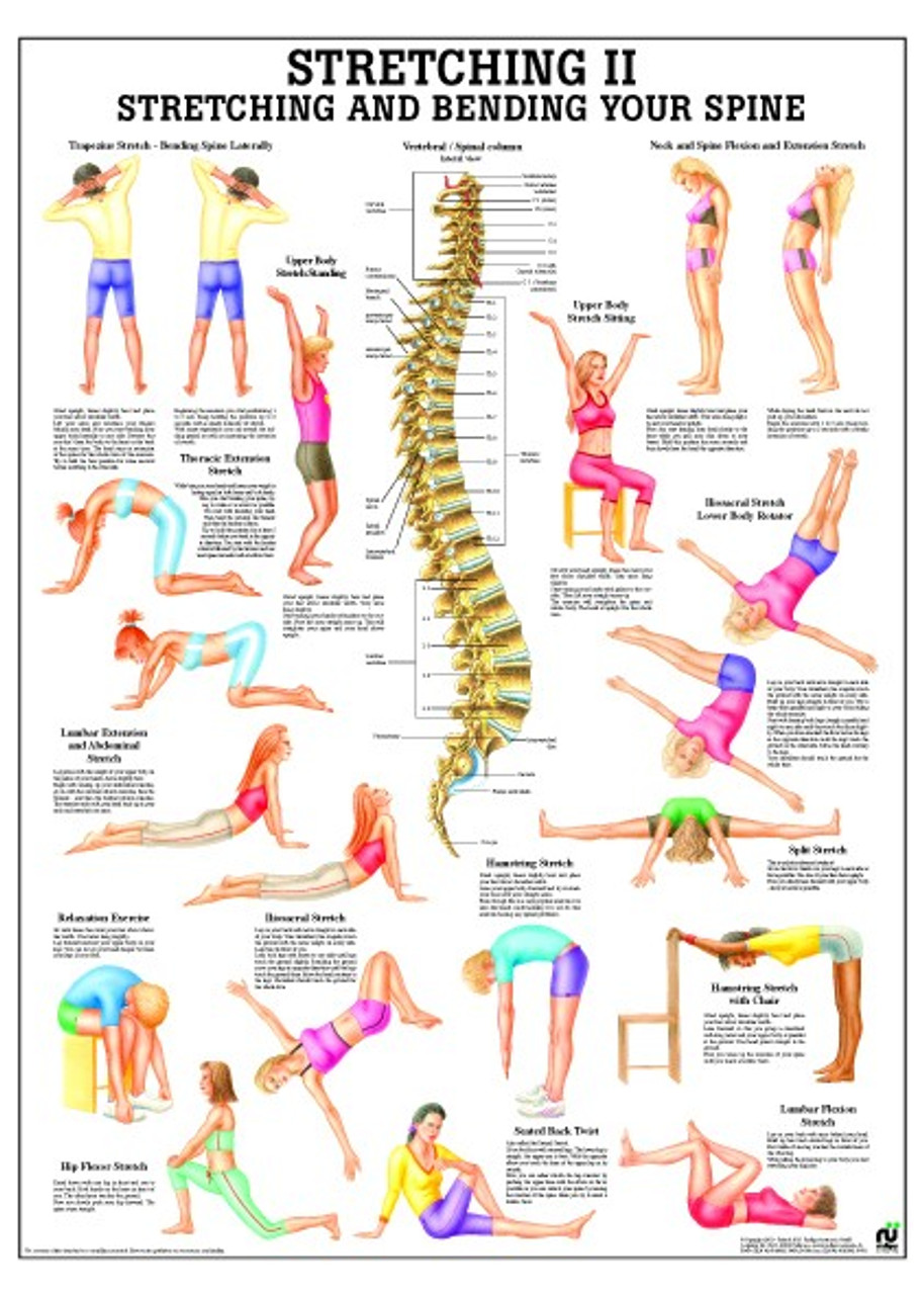 Leg Stretch Chart