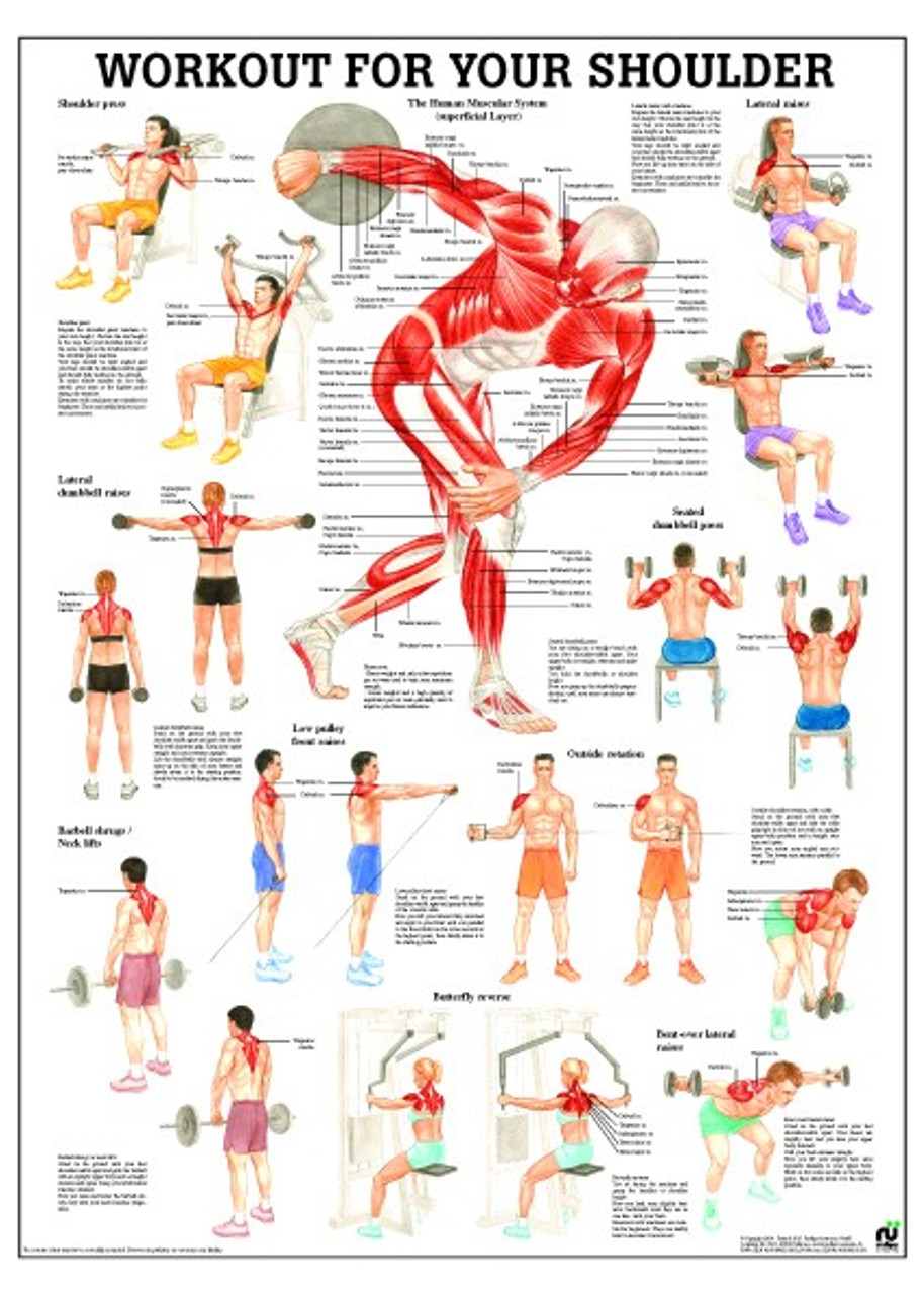 Different 2025 shoulder exercises