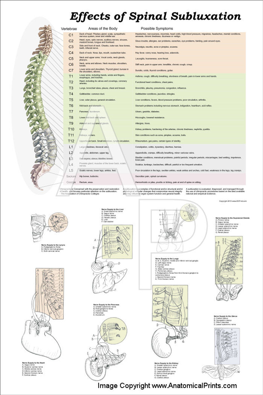 Chart Of Effects Of Vertebral Subluxations