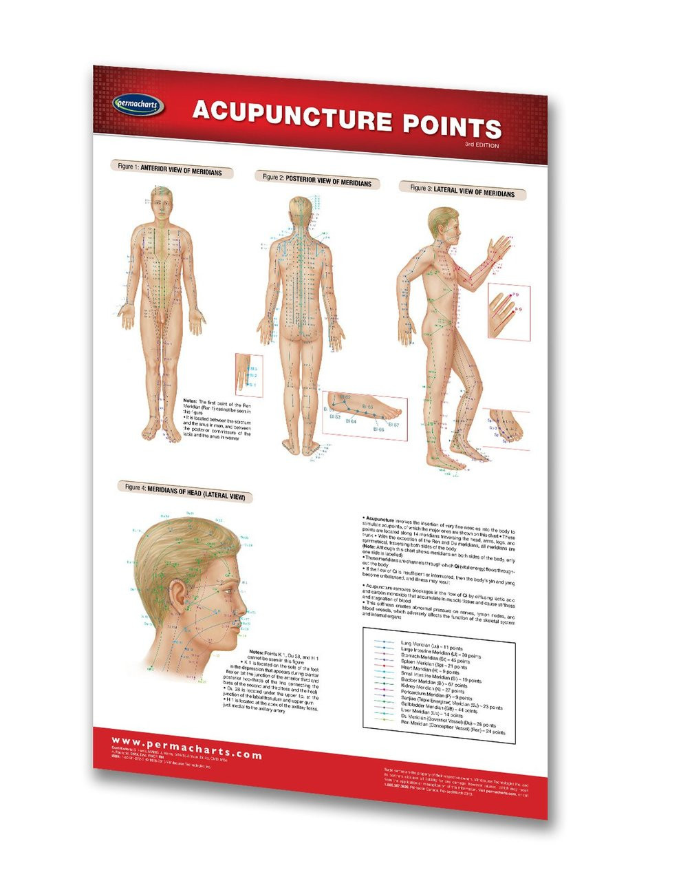 Acupuncture Poster