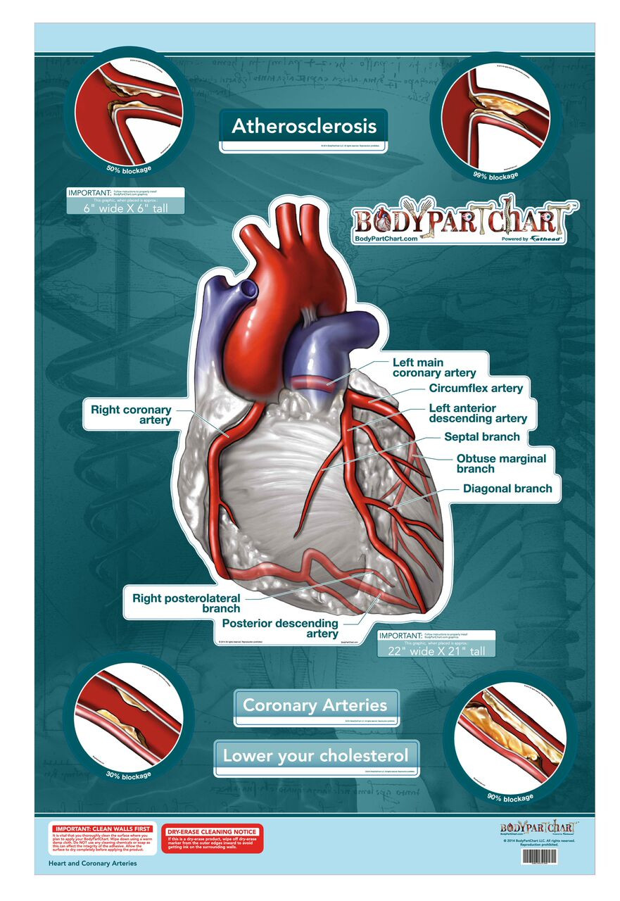 Heart Wall Poster