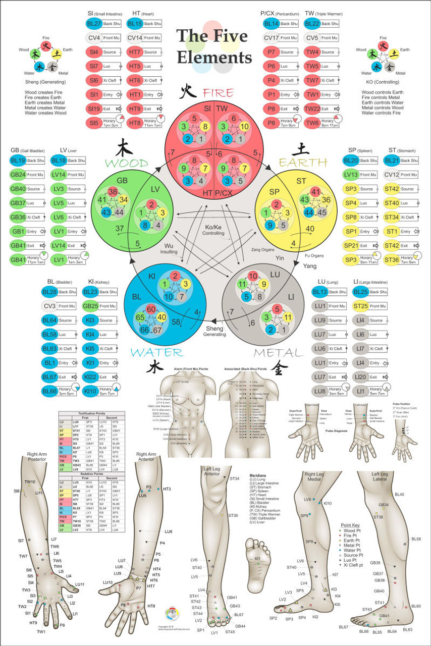 Five Elements Of Acupuncture Points 2nd Ed Clinical Charts And Supplies 