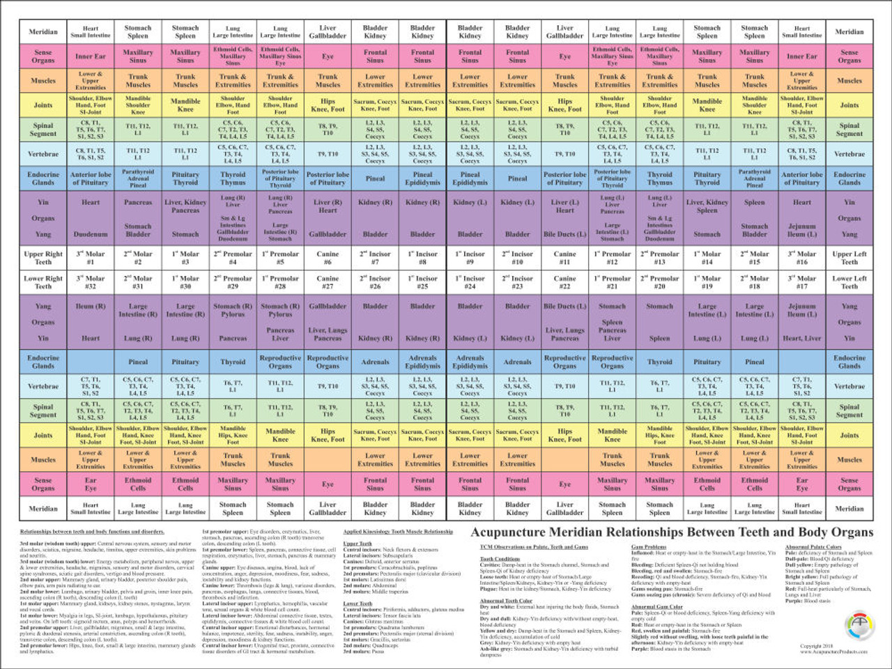 Dental Acupuncture Chart