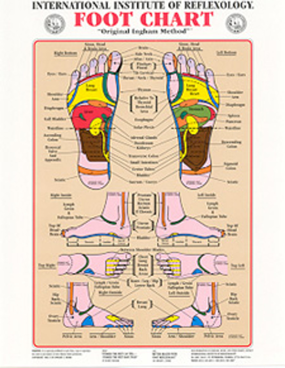 Picture Of Reflexology Chart