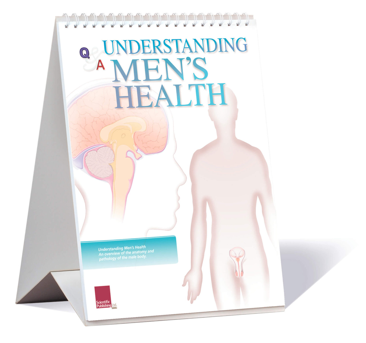 Mens Health Flip Chart