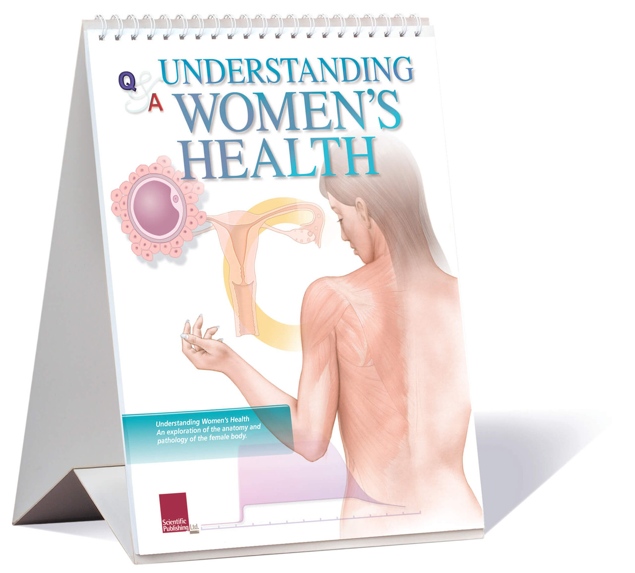 Womens Health Flip Book