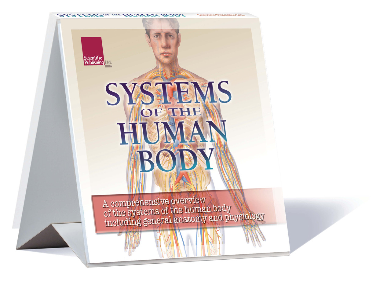 Systems of the Body Flip Chart