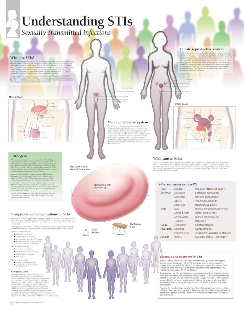 chlamydia reproductive health poster