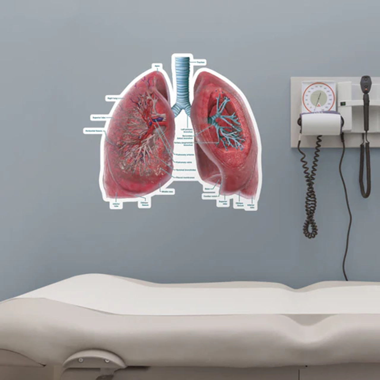 Lung Poster