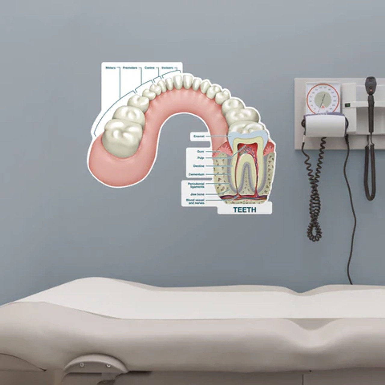 Tooth Poster