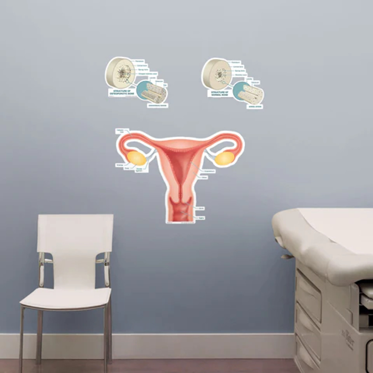 Uterus Poster