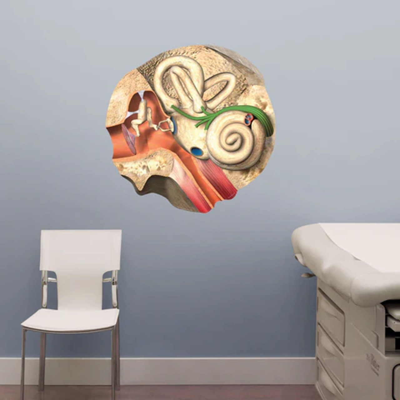 Inner Ear Poster