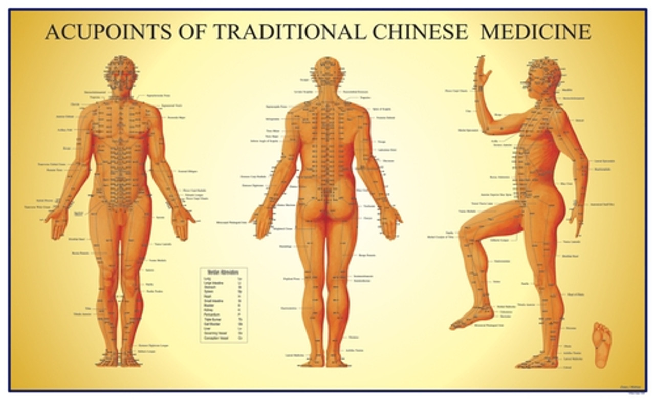 Acupupoints Chart of TCM Male