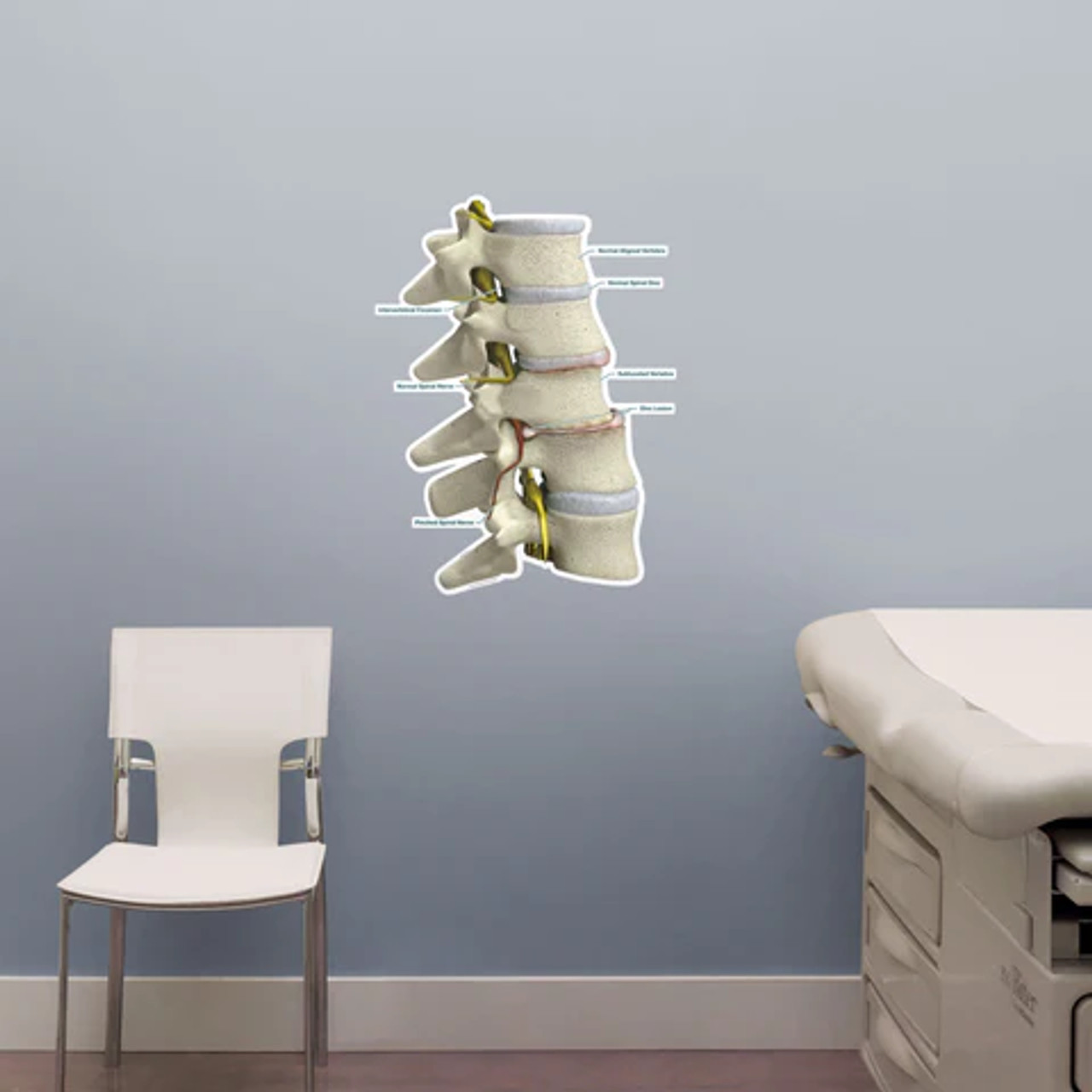 Subluxation Chart
