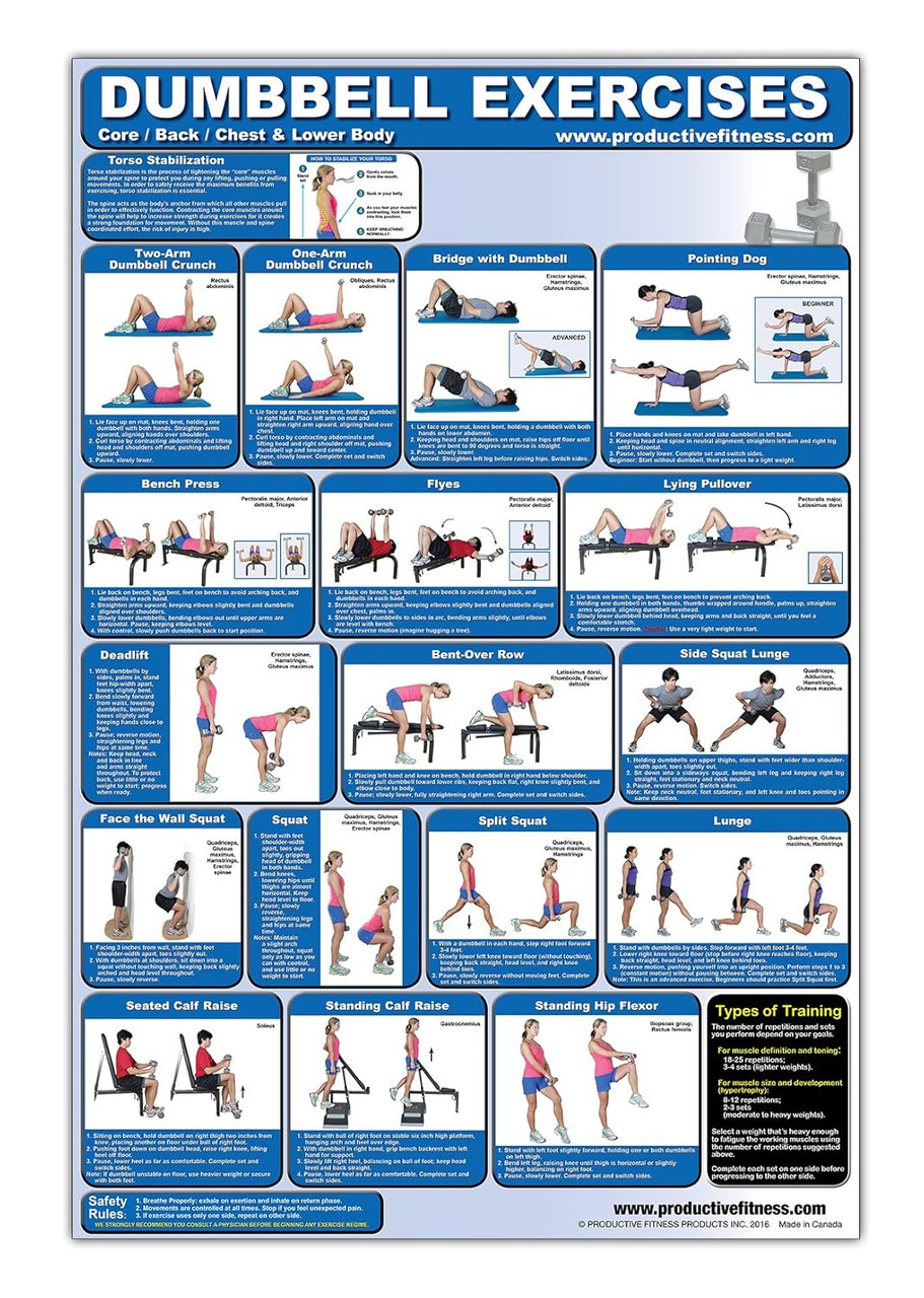 Dumbbell Exercise Poster
