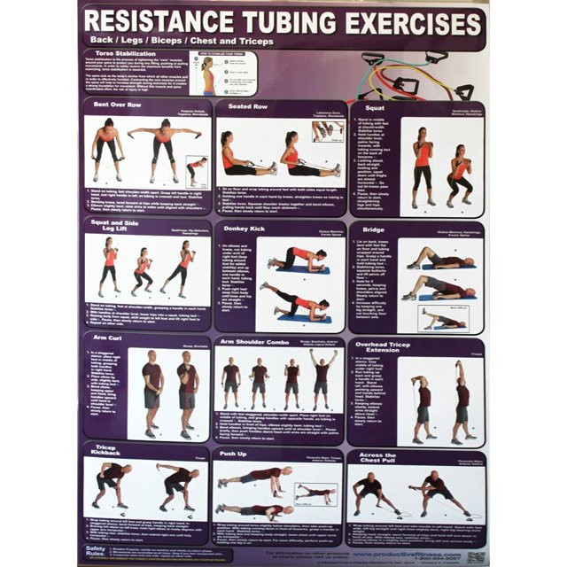 Back,Legs,Chest Bicep and Tricep Poster