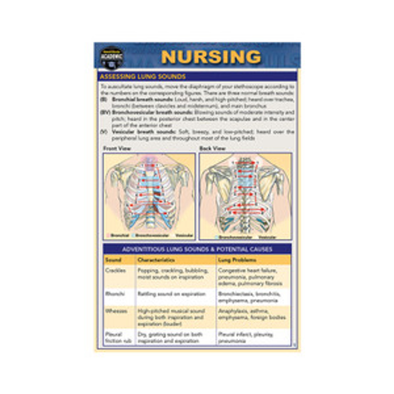 Nursing Chart