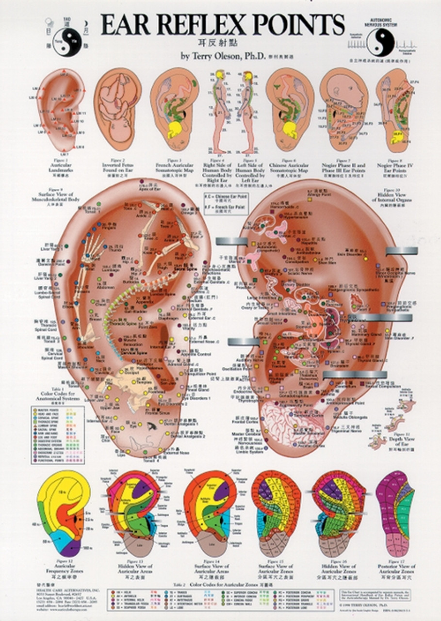 Ear Reflexology Chart