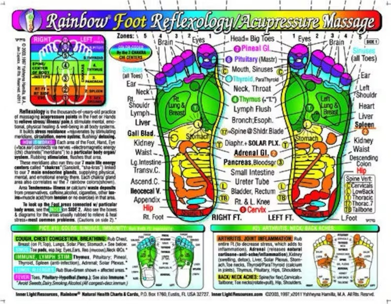 Foot Reflexology Chart