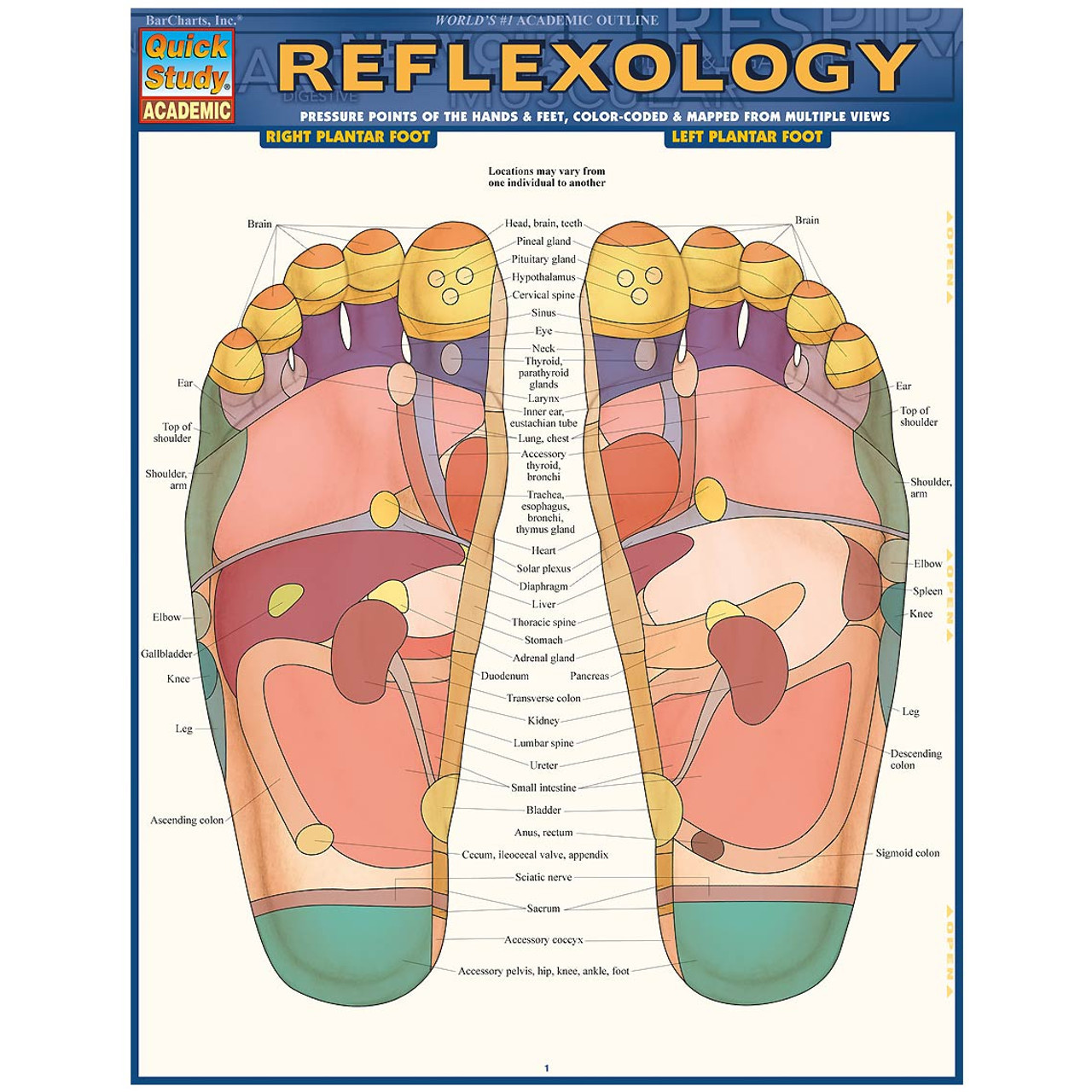 ⚠️極少⚠️ Supreme Bless Reflexology Deck Acupuncture and Reflexology-Reflexology Charts, Posters and Cards